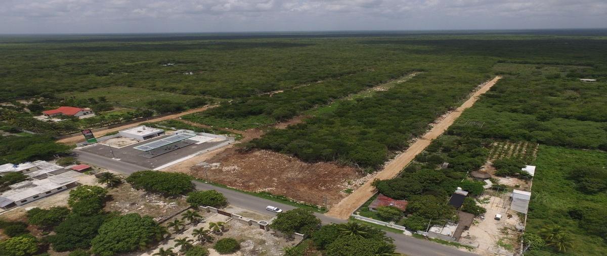 Foto de terreno habitacional en 22 , centro telchac pueblo, telchac pueblo, yucatán, 28418616 foto 02 Foto de terreno habitacional en venta en 22 , centro telchac pueblo, telchac pueblo, yucatán, 28418616 No. 02