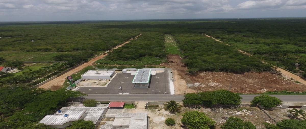 Foto de terreno habitacional en 22 , centro telchac pueblo, telchac pueblo, yucatán, 28418616 foto 04 Foto de terreno habitacional en venta en 22 , centro telchac pueblo, telchac pueblo, yucatán, 28418616 No. 04