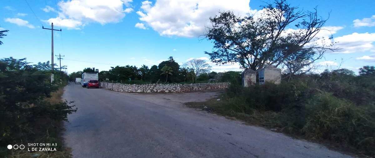 Foto de terreno habitacional en venta en 22 , ixil, ixil, yucatán, 30393845 No. 05