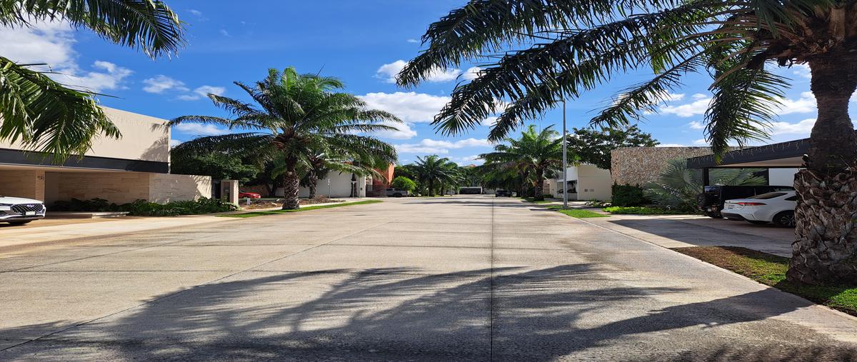 Foto de terreno habitacional en venta en 22 , montebello, mérida, yucatán, 29113344 No. 04