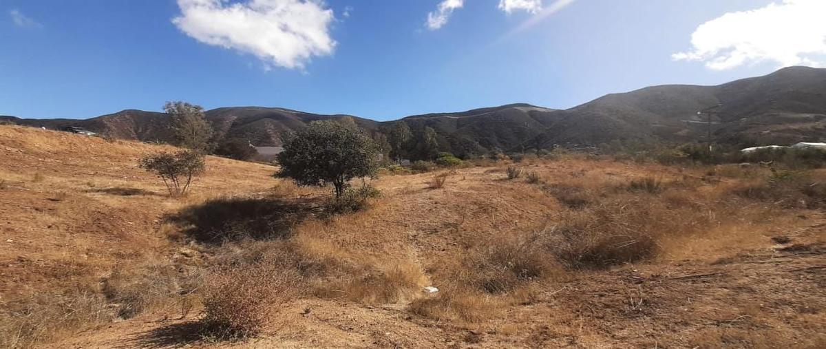 Foto de terreno habitacional en venta en 22766 villa de juárez, b.c. , san antonio de las minas, ensenada, baja california, 25827854 No. 05