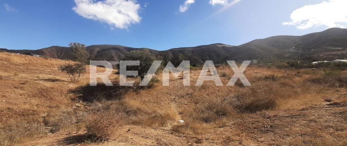 Foto de terreno habitacional en venta en 22766 villa de juárez, b.c. , san antonio de las minas, ensenada, baja california, 25827854 No. 05