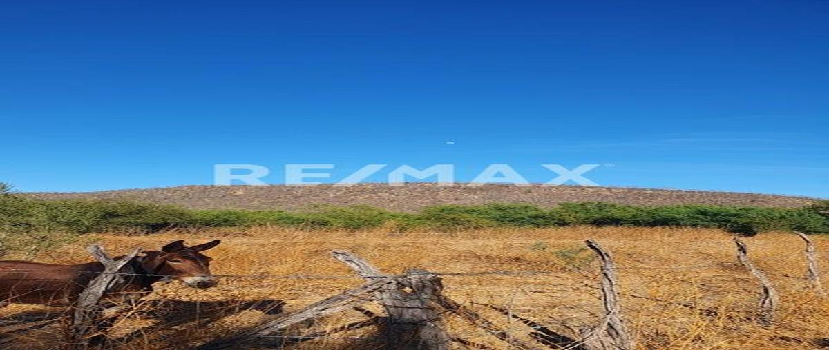 Foto de terreno habitacional en venta en 23 acres with water rights, santiago, east cape , santiago, los cabos, baja california sur, 30317382 No. 05