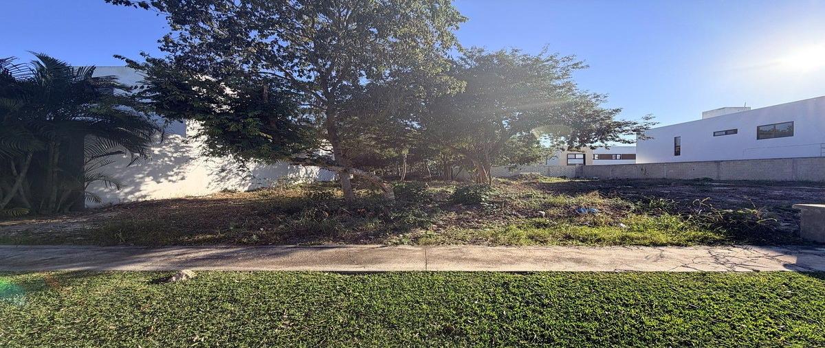 Foto de terreno habitacional en 23 , cholul, mérida, yucatán, 0 foto 01 Foto de terreno habitacional en venta en 23 , cholul, mérida, yucatán, 0 No. 01