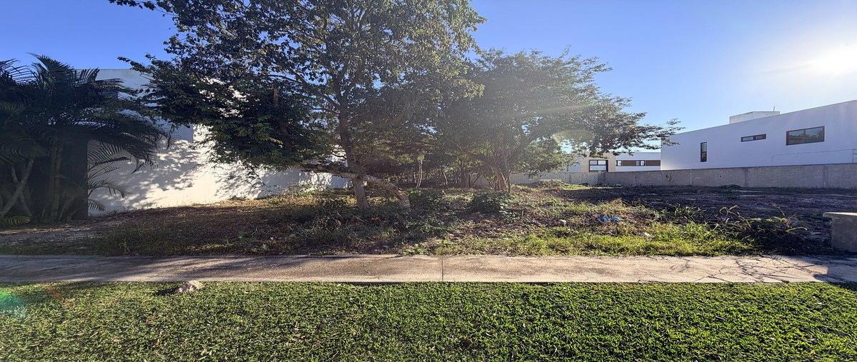 Foto de terreno habitacional en 23 , cholul, mérida, yucatán, 0 foto 03 Foto de terreno habitacional en venta en 23 , cholul, mérida, yucatán, 0 No. 03