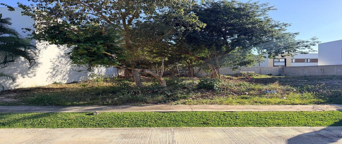 Foto de terreno habitacional en 23 , cholul, mérida, yucatán, 0 foto 04 Foto de terreno habitacional en venta en 23 , cholul, mérida, yucatán, 0 No. 04