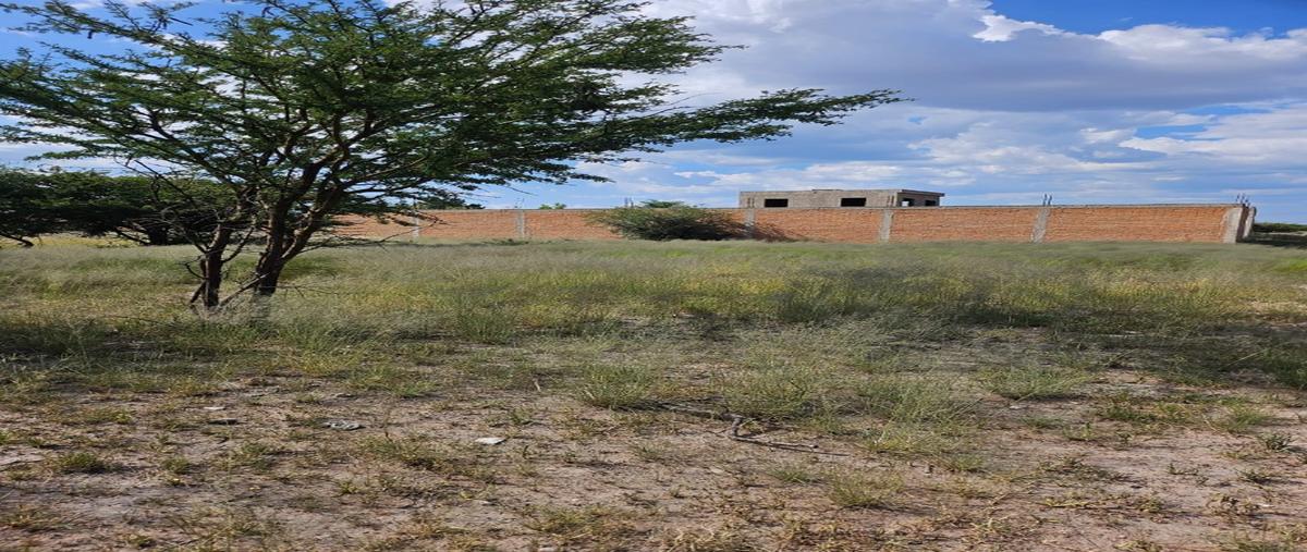 Foto de terreno habitacional en venta en  , 23 de marzo, durango, durango, 0 No. 03