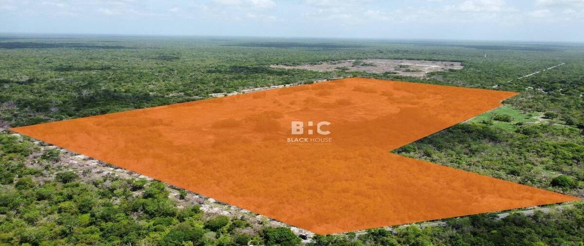 Foto de terreno habitacional en venta en 23 , dzitya, mérida, yucatán, 30603453 No. 06