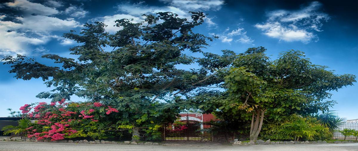 Foto de casa en venta en 23 , quintas baspul, chicxulub pueblo, yucatán, 29433596 No. 05