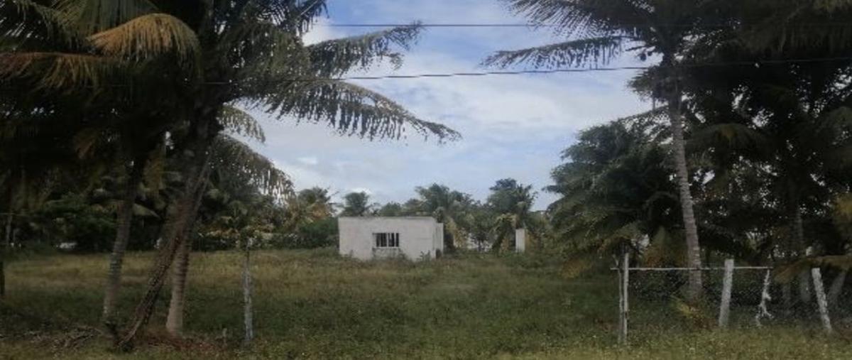 Foto de terreno habitacional en venta en 23 , telchac puerto, telchac puerto, yucatán, 28140219 No. 04