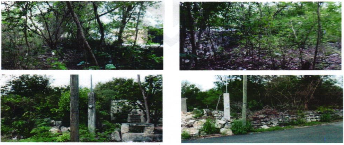 Foto de terreno habitacional en venta en 23 , tixkokob, tixkokob, yucatán, 0 No. 03