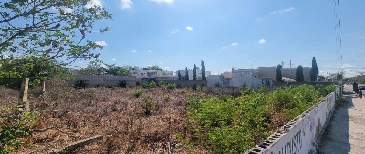Foto de terreno comercial en renta en 23a , san pedro cholul, mérida, yucatán, 0 No. 02