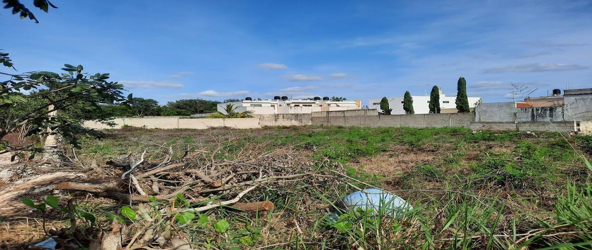 Foto de terreno comercial en renta en 23a , san pedro cholul, mérida, yucatán, 29909838 No. 05