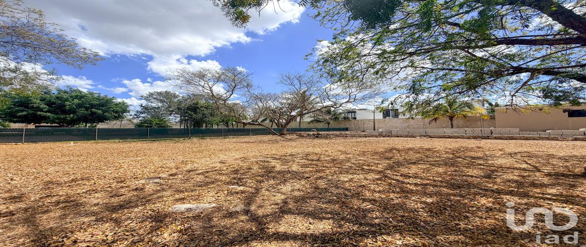 Foto de terreno habitacional en venta en 24 396, dzitya, mérida, yucatán, 31337762 No. 03