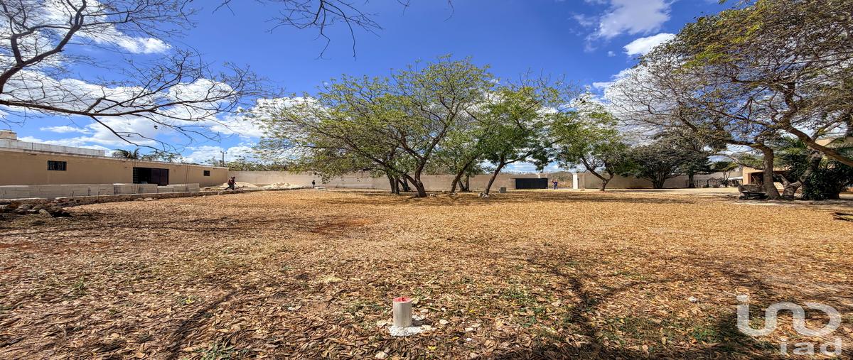 Foto de terreno habitacional en venta en 24 396, dzitya, mérida, yucatán, 31337762 No. 04