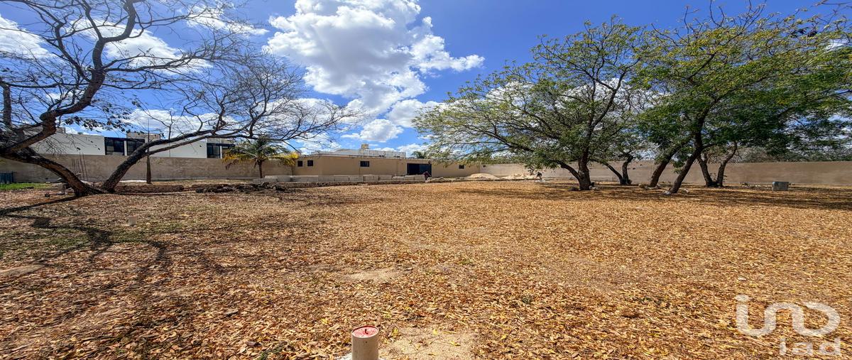 Foto de terreno habitacional en venta en 24 396, dzitya, mérida, yucatán, 31337762 No. 05