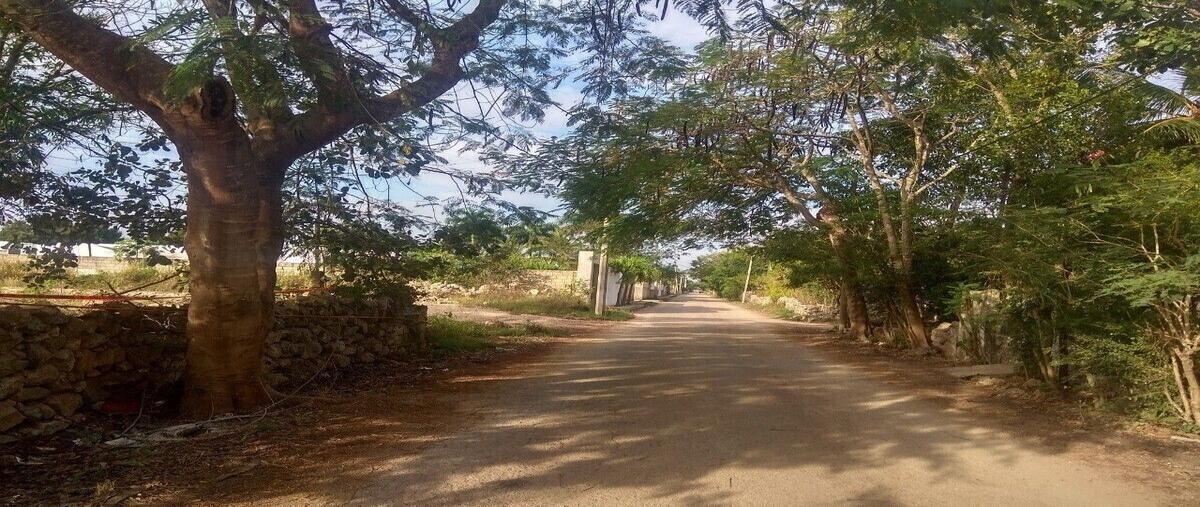 Foto de terreno habitacional en venta en 24 , chichi suárez, mérida, yucatán, 0 No. 03