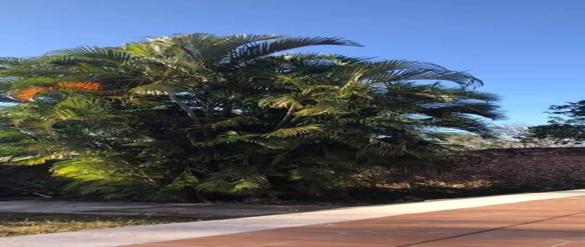 Foto de rancho en venta en 24 , francisco sarabia, peto, yucatán, 0 No. 05