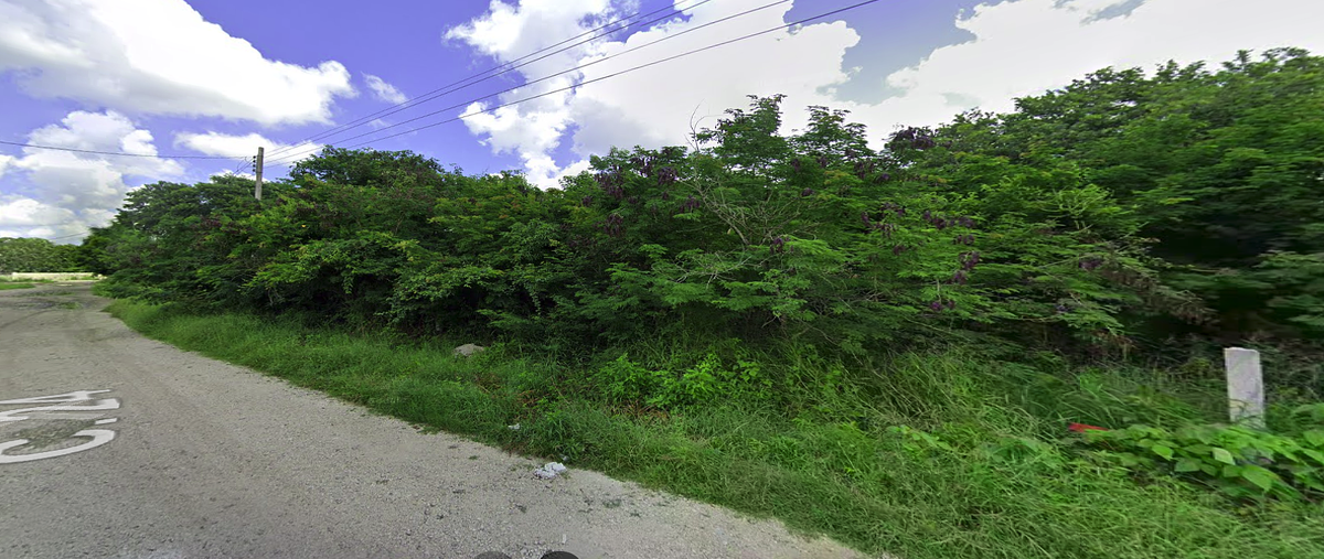 Foto de terreno habitacional en venta en 24 , tamanché, mérida, yucatán, 0 No. 04