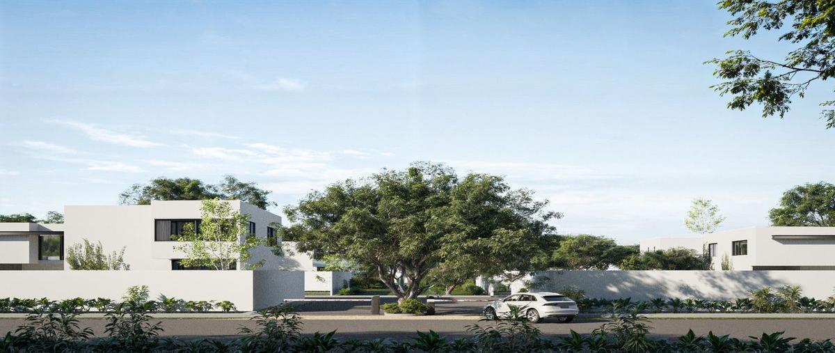 Foto de terreno habitacional en venta en 24 , temozon norte, mérida, yucatán, 28459902 No. 03