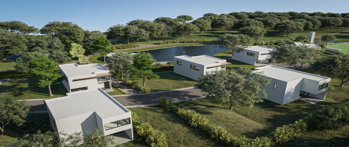 Foto de terreno habitacional en venta en 24 , temozon norte, mérida, yucatán, 28459902 No. 05