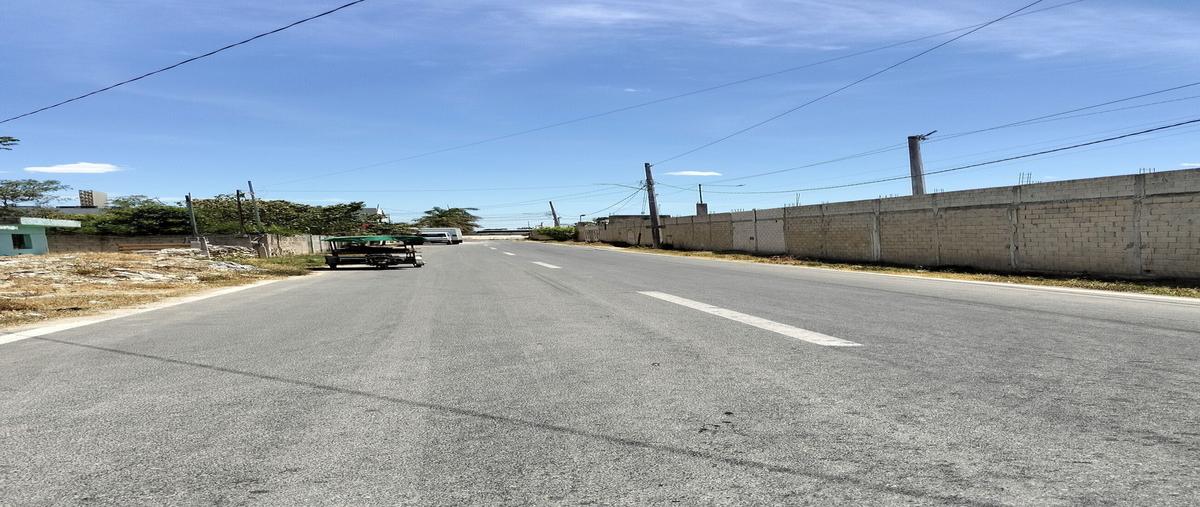 Foto de terreno habitacional en venta en 25 calle , san pedro noh pat, kanasín, yucatán, 28663290 No. 03