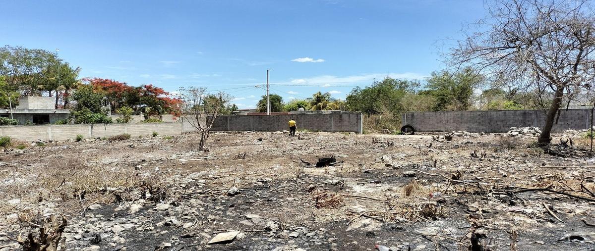 Foto de terreno habitacional en venta en 25 calle , san pedro noh pat, kanasín, yucatán, 28663290 No. 05