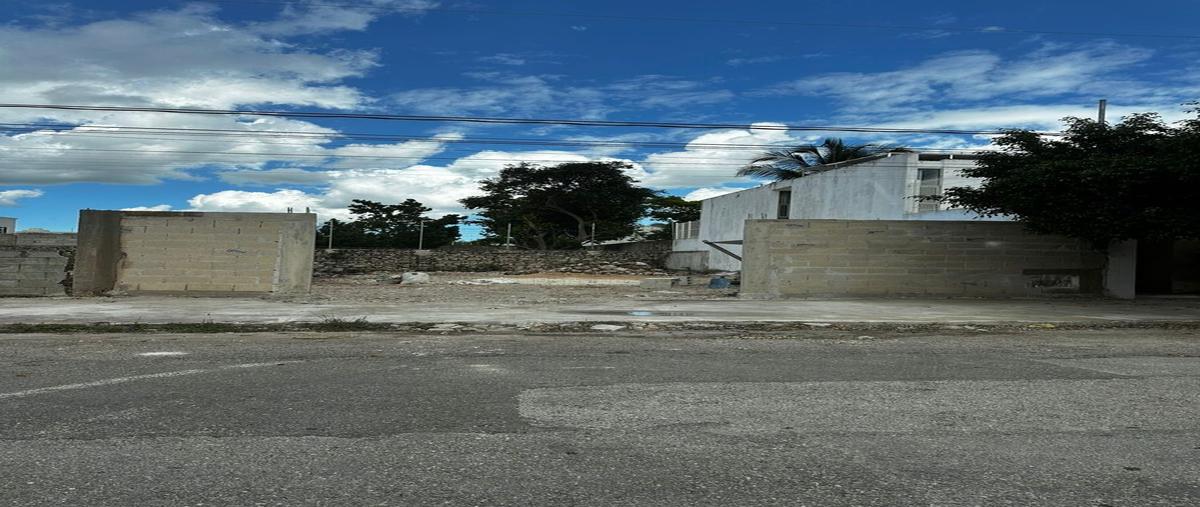Foto de terreno habitacional en 25 , san pedro cholul, mérida, yucatán, 0 foto 02 Foto de terreno habitacional en renta en 25 , san pedro cholul, mérida, yucatán, 0 No. 02