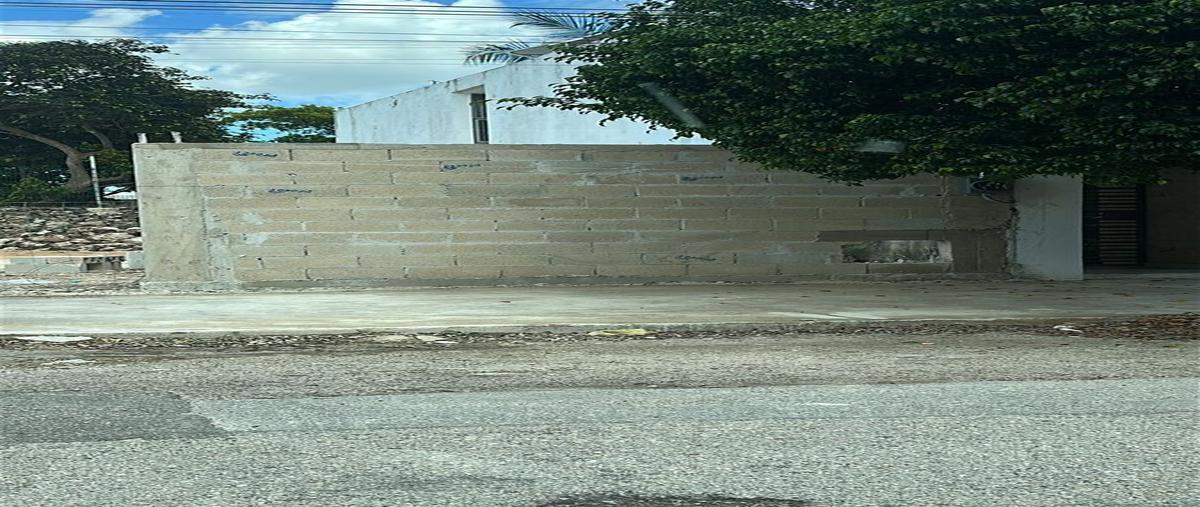 Foto de terreno habitacional en 25 , san pedro cholul, mérida, yucatán, 0 foto 03 Foto de terreno habitacional en renta en 25 , san pedro cholul, mérida, yucatán, 0 No. 03