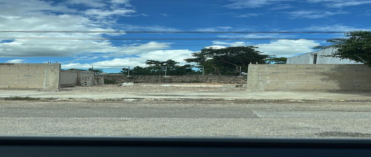 Foto de terreno habitacional en 25 , san pedro cholul, mérida, yucatán, 0 foto 05 Foto de terreno habitacional en renta en 25 , san pedro cholul, mérida, yucatán, 0 No. 05