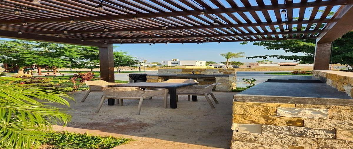 Foto de terreno habitacional en venta en 25 , tamanché, mérida, yucatán, 0 No. 05