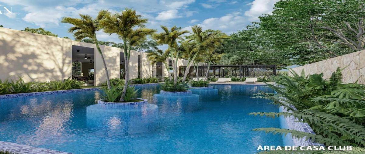 Foto de terreno habitacional en venta en 25 , tepakan, tepakán, yucatán, 29463896 No. 05