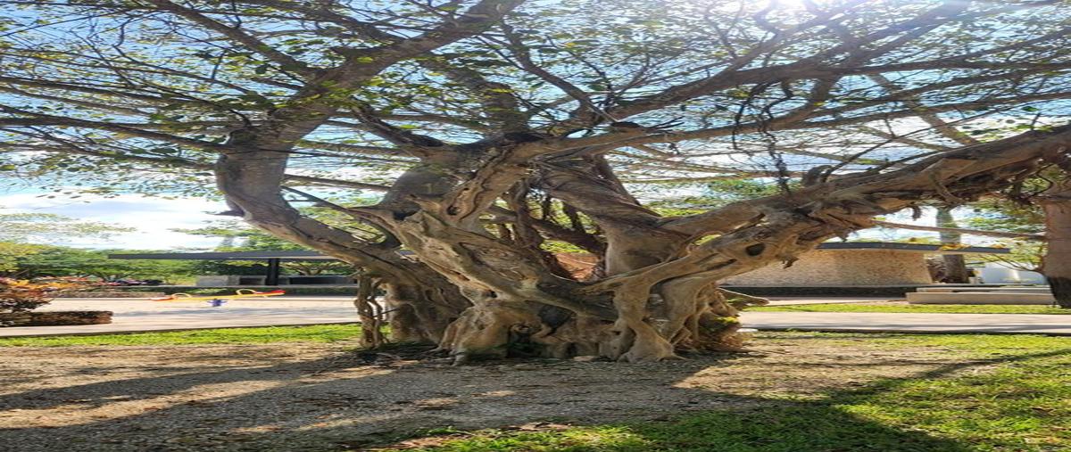 Foto de terreno habitacional en venta en 26 , bosques de conkal, conkal, yucatán, 30624418 No. 03