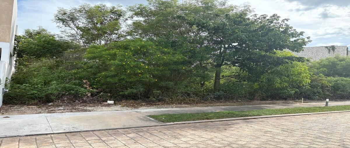 Foto de terreno habitacional en 26 , cholul, mérida, yucatán, 30442919 foto 04 Foto de terreno habitacional en venta en 26 , cholul, mérida, yucatán, 30442919 No. 04