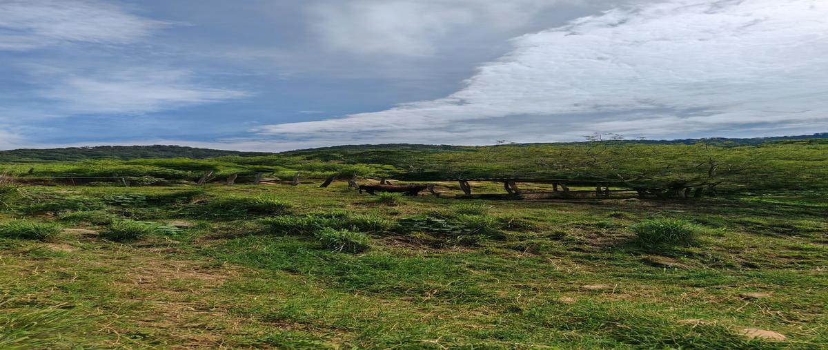 Foto de rancho en venta en 26 de julio , ixtlahuácan, ixtlahuacán, colima, 28621713 No. 04