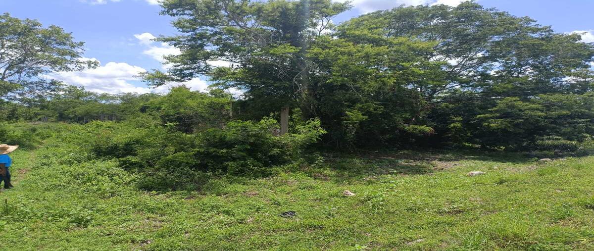 Foto de terreno habitacional en venta en 26 , kopoma, kopomá, yucatán, 0 No. 05