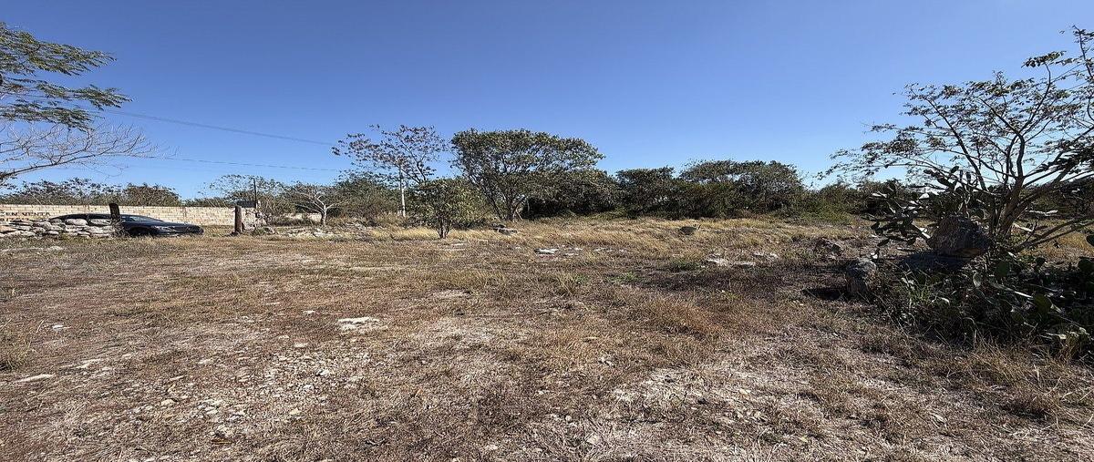 Foto de terreno habitacional en venta en 27 , chichi suárez, mérida, yucatán, 0 No. 05