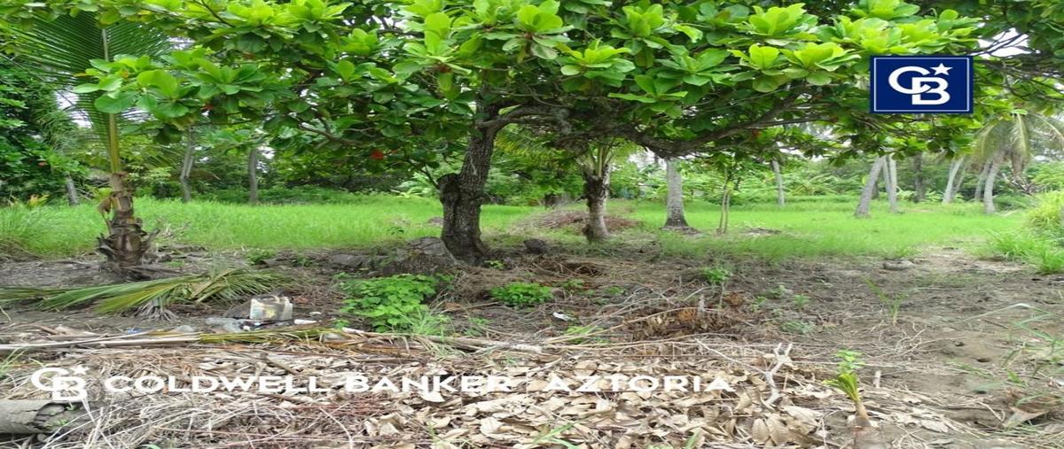 Foto de terreno habitacional en venta en 27 de feb esquina el ostion , puerto ceiba (carrizal), paraíso, tabasco, 22777544 No. 03