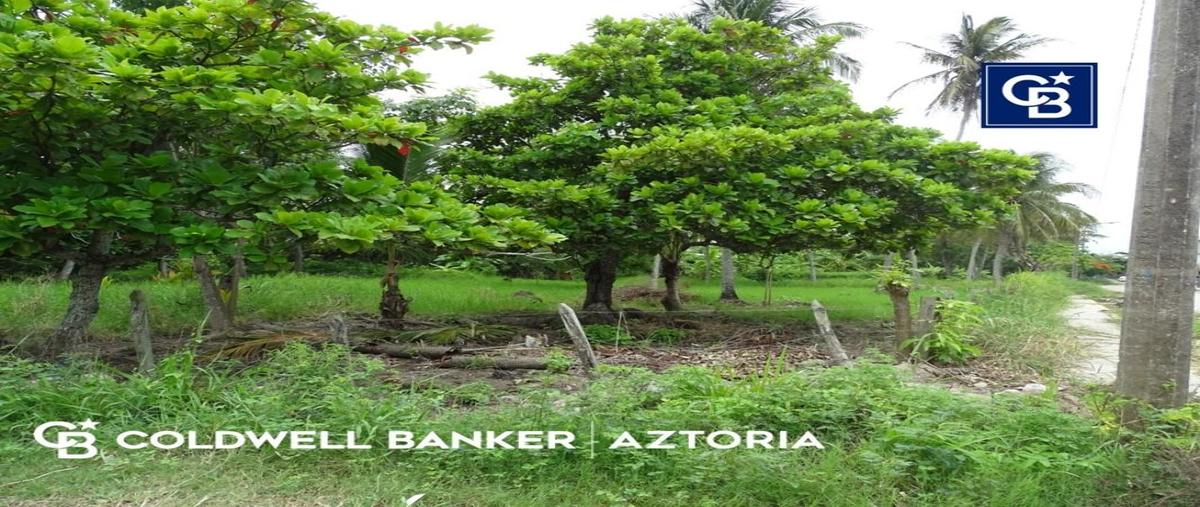 Foto de terreno habitacional en venta en 27 de feb esquina el ostion , puerto ceiba (carrizal), paraíso, tabasco, 22777544 No. 05