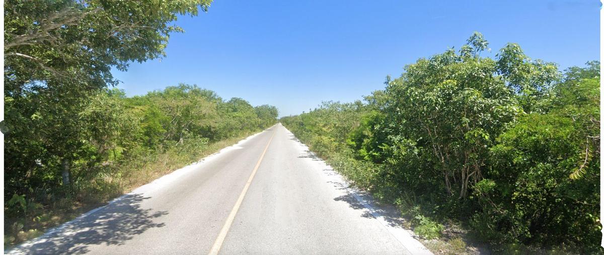 Foto de terreno habitacional en venta en 27 , dzilam de bravo, dzilam de bravo, yucatán, 30529480 No. 05