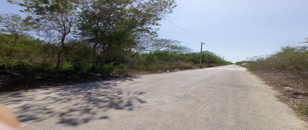 Foto de terreno habitacional en 27 , san diego cutz, conkal, yucatán, 26521513 foto 05 Foto de terreno habitacional en venta en 27 , san diego cutz, conkal, yucatán, 26521513 No. 05