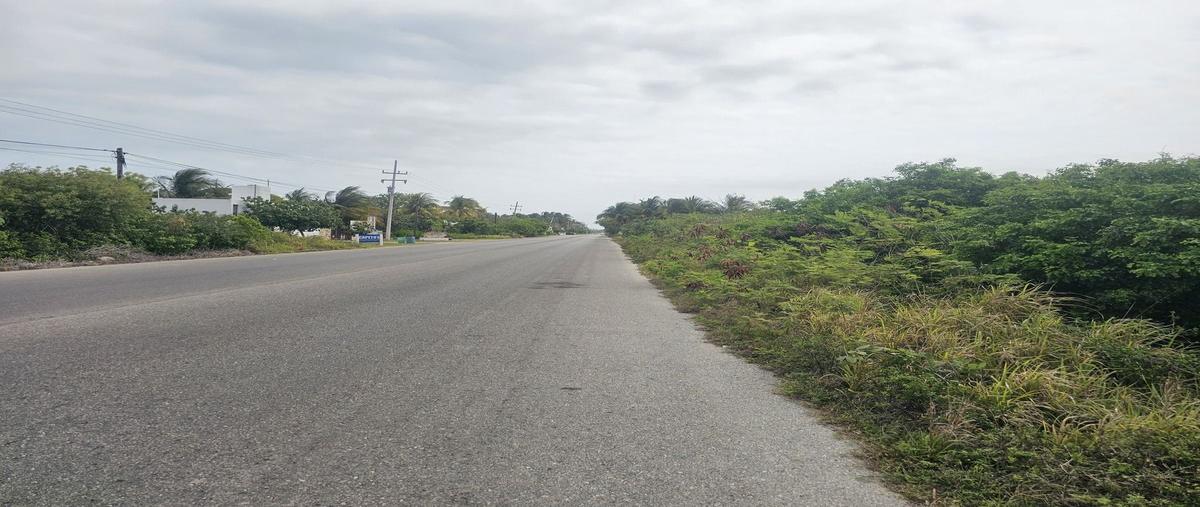 Foto de terreno habitacional en venta en 27 , san diego, dzemul, yucatán, 28294614 No. 05
