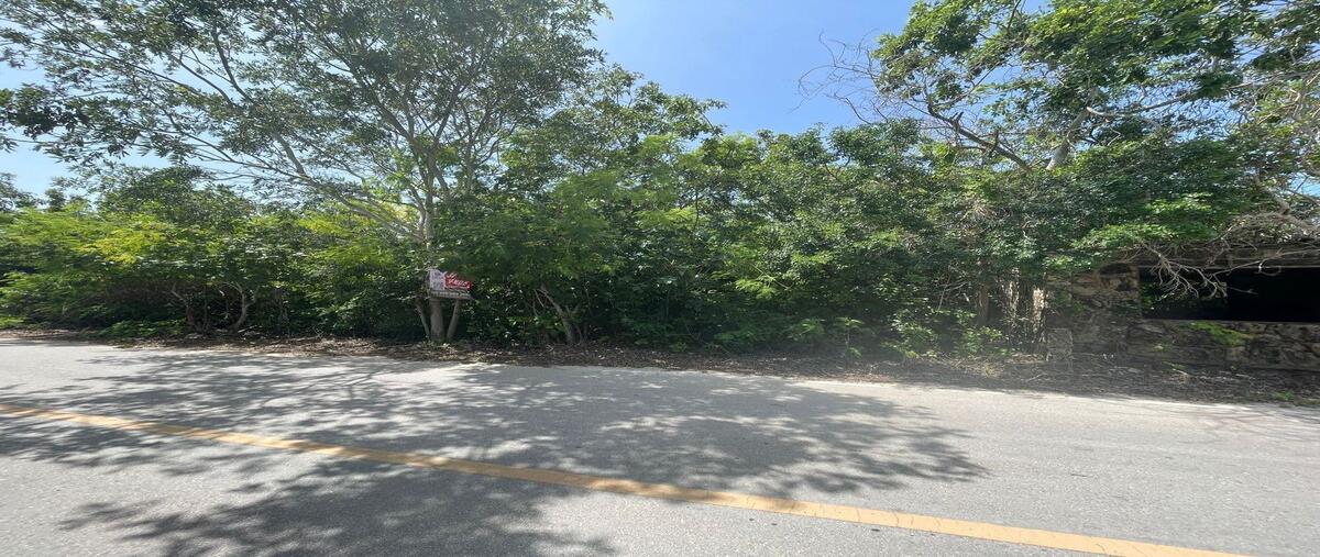 Foto de terreno habitacional en 27 , santa clara, dzidzantún, yucatán, 0 foto 01 Foto de terreno habitacional en venta en 27 , santa clara, dzidzantún, yucatán, 0 No. 01