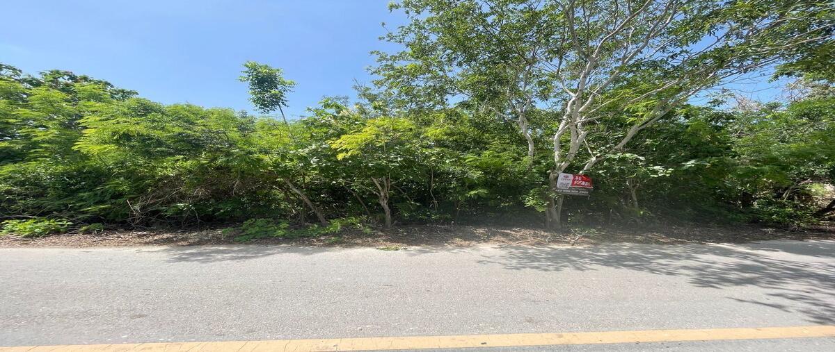 Foto de terreno habitacional en 27 , santa clara, dzidzantún, yucatán, 0 foto 02 Foto de terreno habitacional en venta en 27 , santa clara, dzidzantún, yucatán, 0 No. 02