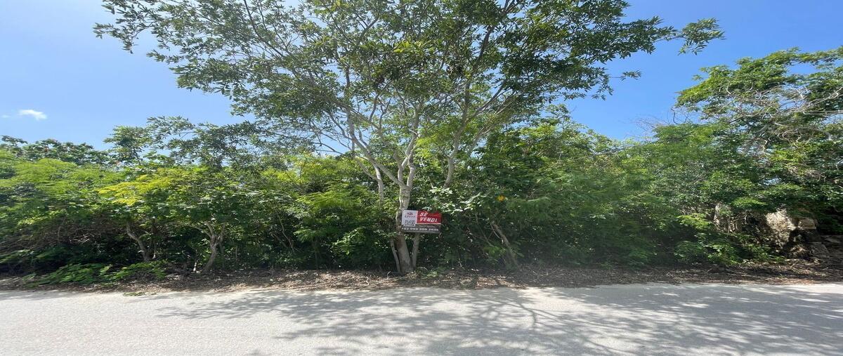 Foto de terreno habitacional en 27 , santa clara, dzidzantún, yucatán, 0 foto 03 Foto de terreno habitacional en venta en 27 , santa clara, dzidzantún, yucatán, 0 No. 03