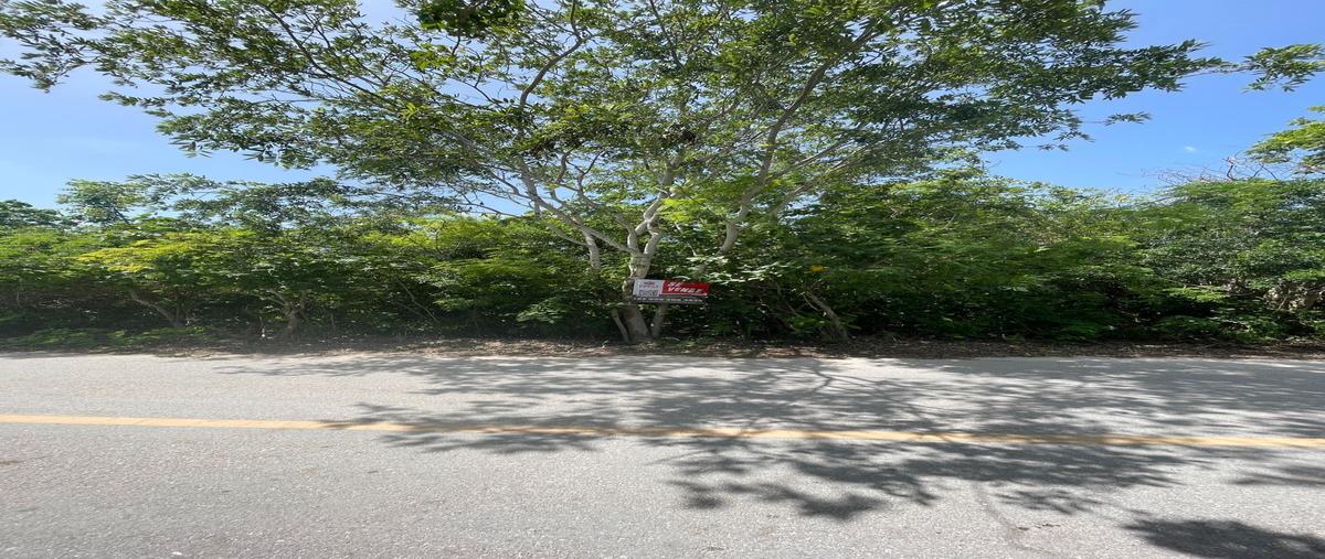 Foto de terreno habitacional en 27 , santa clara, dzidzantún, yucatán, 0 foto 05 Foto de terreno habitacional en venta en 27 , santa clara, dzidzantún, yucatán, 0 No. 05