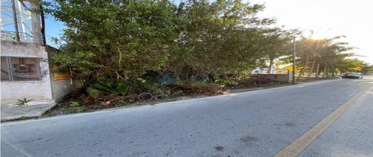 Foto de terreno habitacional en 27 , santa clara, dzidzantún, yucatán, 0 foto 05 Foto de terreno habitacional en venta en 27 , santa clara, dzidzantún, yucatán, 0 No. 05