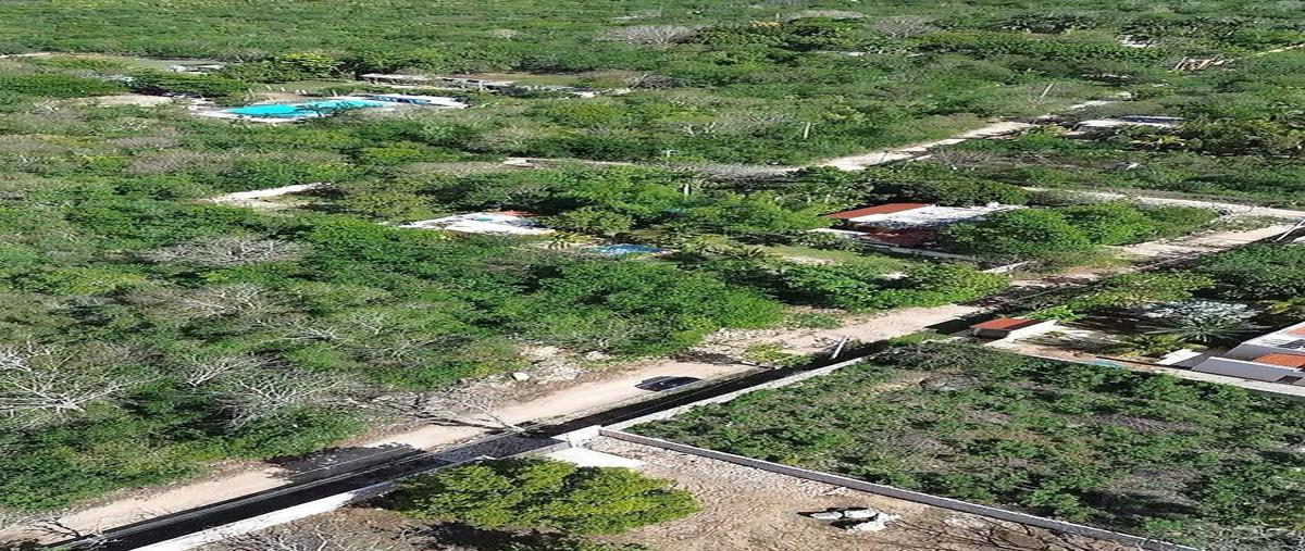 Foto de terreno habitacional en venta en 28 abeto , cholul, mérida, yucatán, 0 No. 03