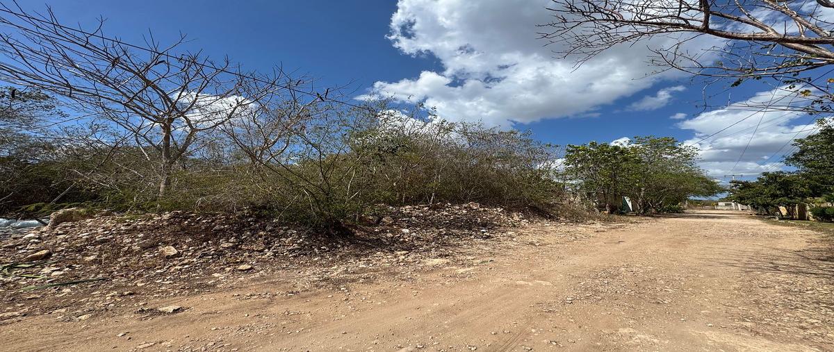 Foto de terreno habitacional en venta en 28 abeto , cholul, mérida, yucatán, 0 No. 05