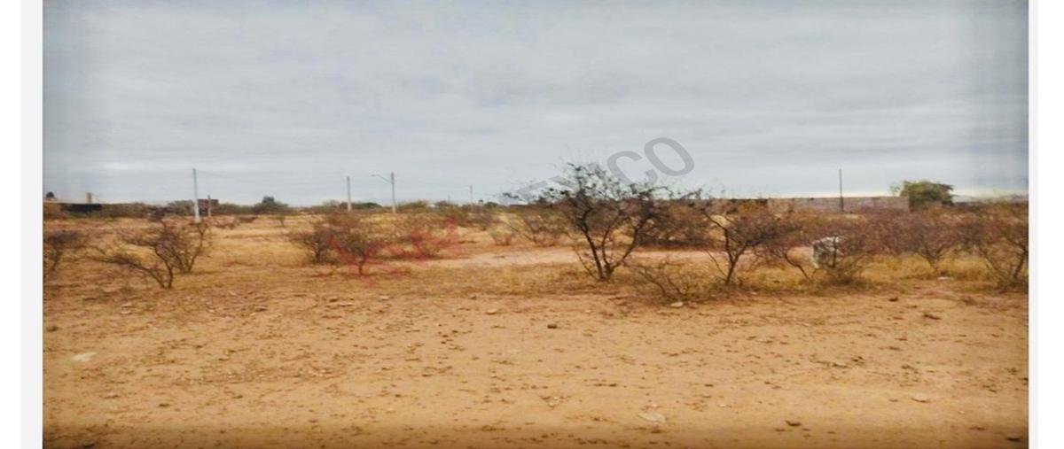 Foto de terreno habitacional en venta en 28 de febrero , nuevo sacramento, chihuahua, chihuahua, 30701465 No. 04